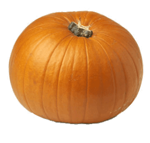 Holiday Market carving size pumpkin 1 count