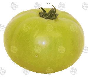 Holiday Market green tomato, fresh whole 1 pound