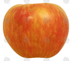 Holiday Market honey crisp whole fresh apple, price per pound 1 pound