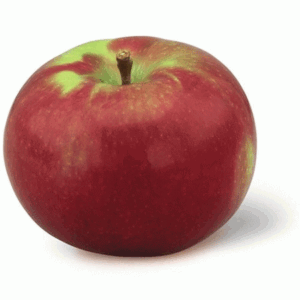 Holiday Market mcintosh apples 1 pound