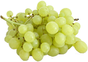 Thompson seedless green grapes, price per pound 1 pound
