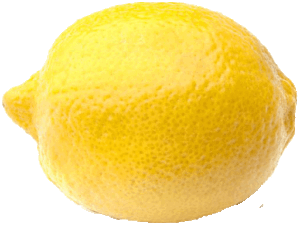 Holiday Market lemon 1 count