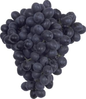 Holiday Market black seedless grapes, price per pound 1 pound