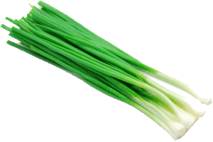 Holiday Market green onions 1 bunch