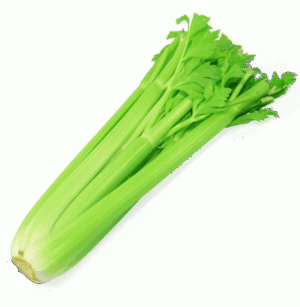 Holiday Market celery stalk 1 count