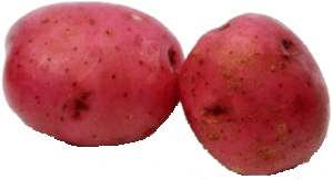 Holiday Market red potato, price per pound 1 pound