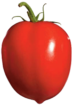 Holiday Market roma tomato per pound 1 pound