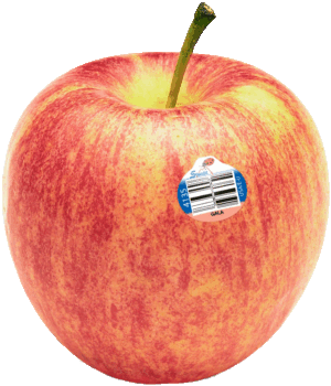 Rainier gala apple, price per pound 1 pound