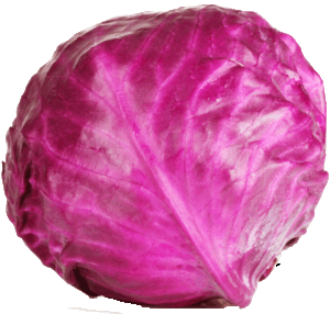 Holiday Market red cabbage head, price per pound 1 pound
