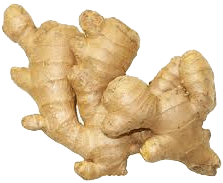 Holiday Market ginger root per pound 1 count