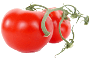 Suntastic tomatoes on vine per pound 1 pound
