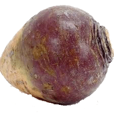 Holiday Market whole rutabaga per pound 1 count