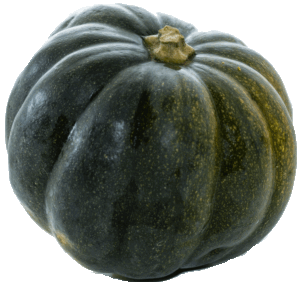 Heras acorn squash per pound 1 pound