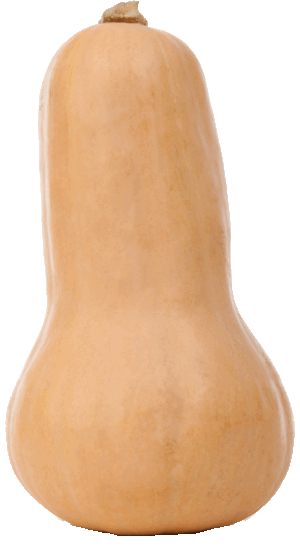 Holiday Market butternut squash per pound 1 pound