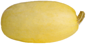 Mayan Pride spaghetti squash per pound 1 pound