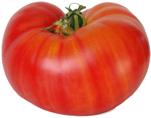 Sunset tomato, beefsteak per pound 1 pound