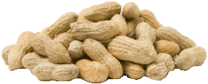 Holiday Market peanuts in-shell, price per pound 1 pound