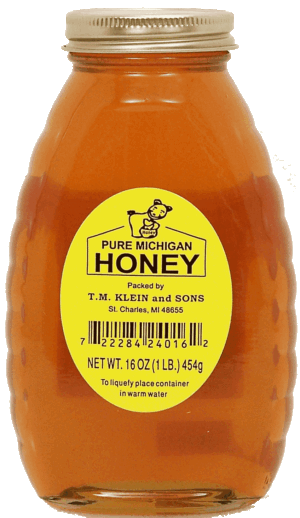 T.M. Klein and Sons honey, pure Michigan 16 ounce