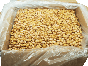 Odeco roasted medium size pistachios of Iran 30 pound