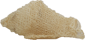 Odeco loofa sponge, woolen mesh, product of Iraq 1 count