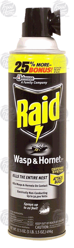 Raid wasp & hornet 17.5 ounce