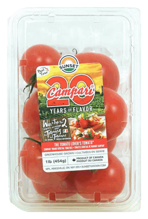 Sunset Campari tomatos 1 pound