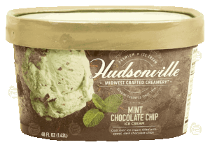 Hudsonville Midwest Crafted Creamery mint chocolate chip ice cream 48 fluid ounce