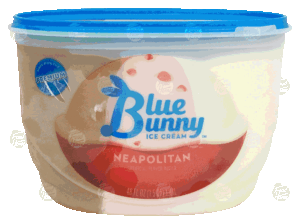 Blue Bunny neapolitan ice cream 48 fluid ounce