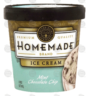 Homemade mint chocolate chip ice cream 1 pint