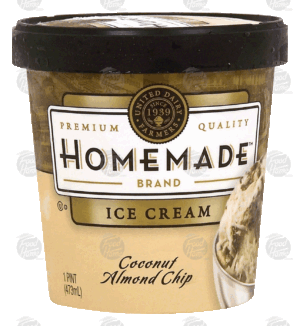 Homemade coconut almond chip ice cream 1 pint